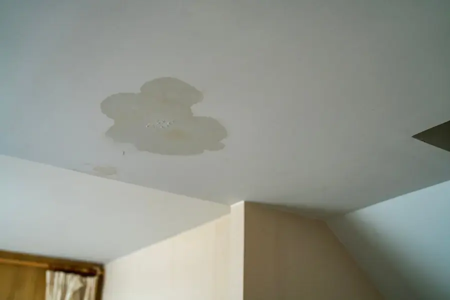 Water stain spreading across a ceiling below a leak in Canoga Park